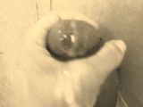 homemade gloryhole handjob with big cumshot