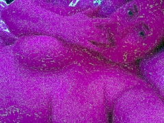 Amazing BBW Webcam Big Boobs Porn Video Livesex Livecam